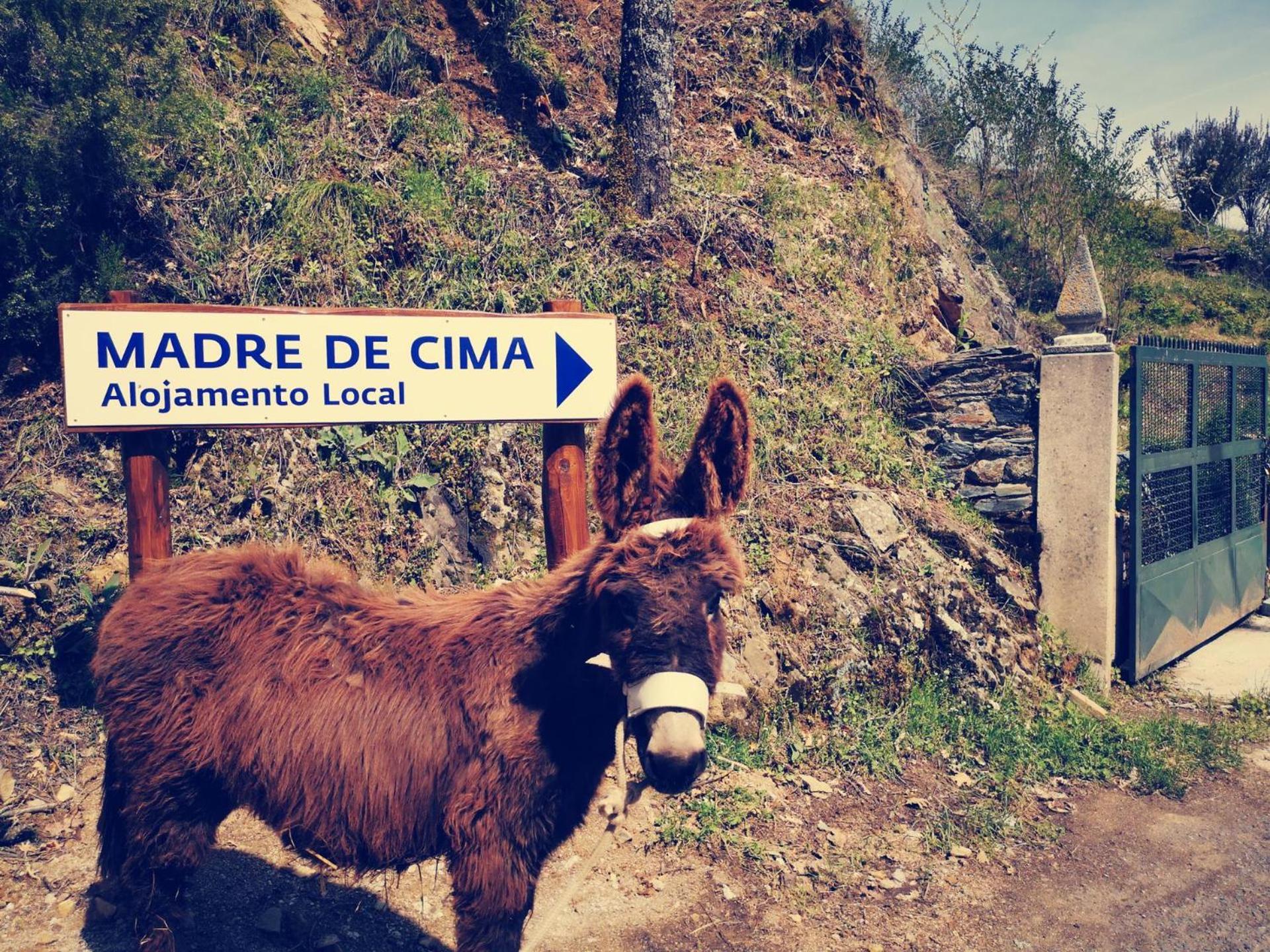 Alojamento Local Madre De Cima Vinhais Exteriér fotografie
